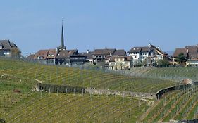 Cave Du Cep